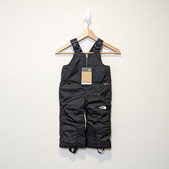 The North Face Other - The North Face Kids Size 2T Freedom Insulated Bibs Snowpants Ski Dryvent